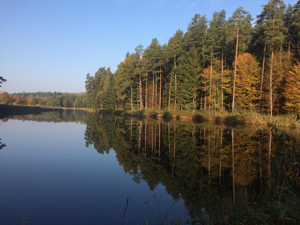 Na Skraju Puszczy Hajnówka Exterior foto
