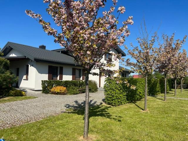 Na Skraju Puszczy Hajnówka Exterior foto